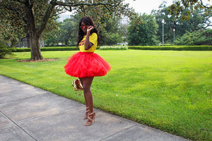 Mini Tulle Skirt